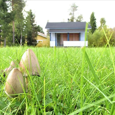 Scandinavian Dream Cottages Vikajarvi- Rovaniemi Country house Vikajarvi