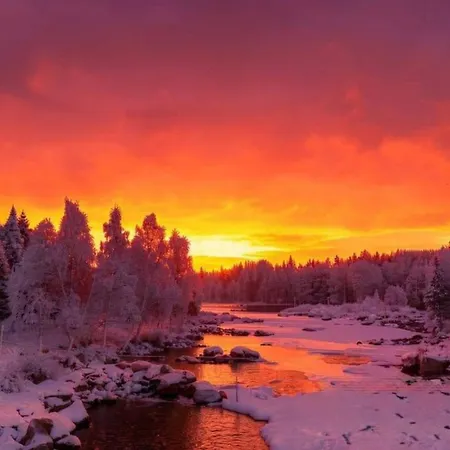 Scandinavian Dream Vikajarvi- Rovaniemi *