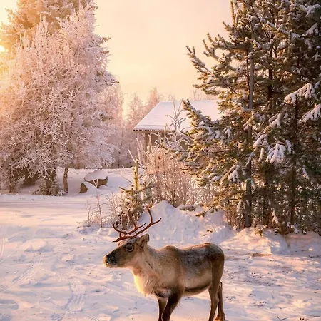 Maalaistalot Scandinavian Dream Vikajarvi- Rovaniemi Vikajärvi