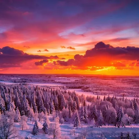 Maalaistalot Scandinavian Dream Vikajarvi- Rovaniemi