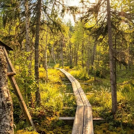 Maalaistalot Scandinavian Dream Vikajarvi- Rovaniemi Vikajärvi