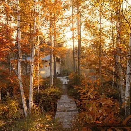 Maalaistalot Scandinavian Dream Vikajarvi- Rovaniemi *