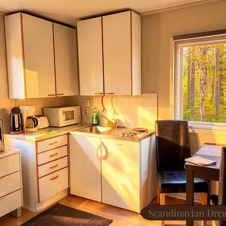 Scandinavian Dream Vikajarvi- Rovaniemi Maalaistalot Vikajärvi